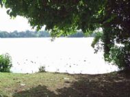 Ellesmere, Shropshire